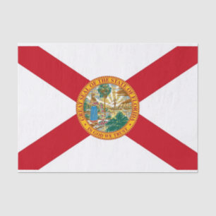 Seda Papel de lenço Patriótico com bandeira da Flóri