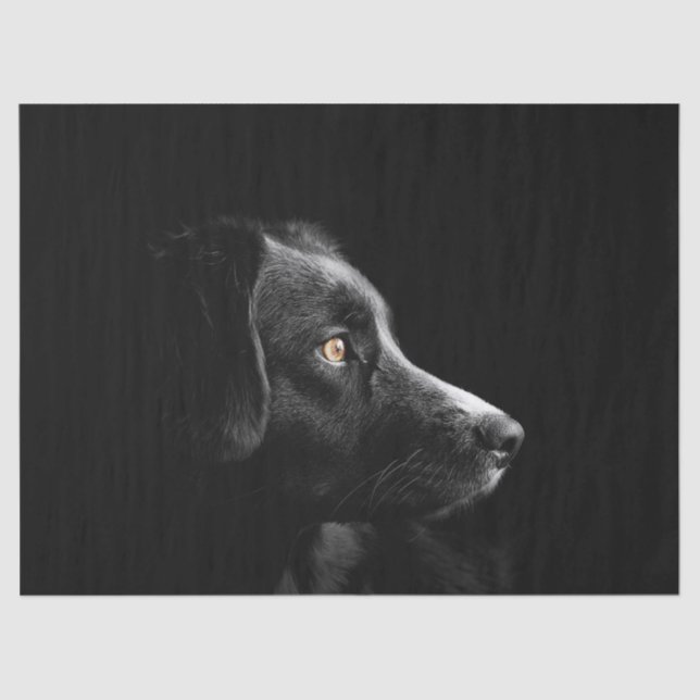 Seda papel de lençol labrador preto (Frente )