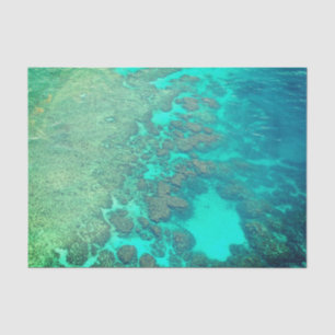 Seda Papel de lenços de coral