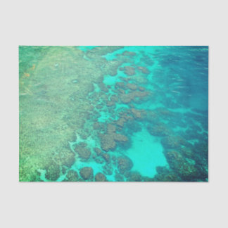 Seda Papel de lenços de coral