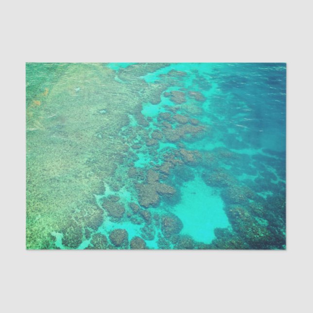 Seda Papel de lenços de coral (Frente )