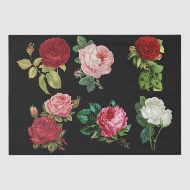 Seda Papel de lenços de galeria rosa (Frente )