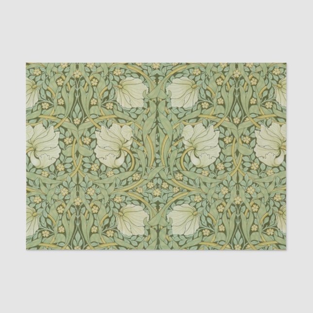 Seda Papel de Parede Floral Azul Pimpinela de William M (Frente )