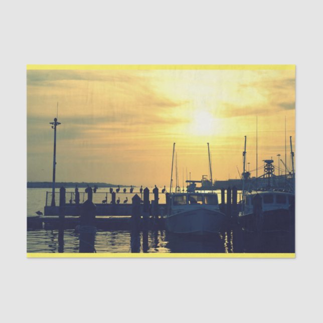 Seda Papel De Pista De Pesca (Frente )