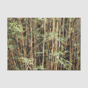 Seda Papel de Tecido da Selva de Bambu Personalizado