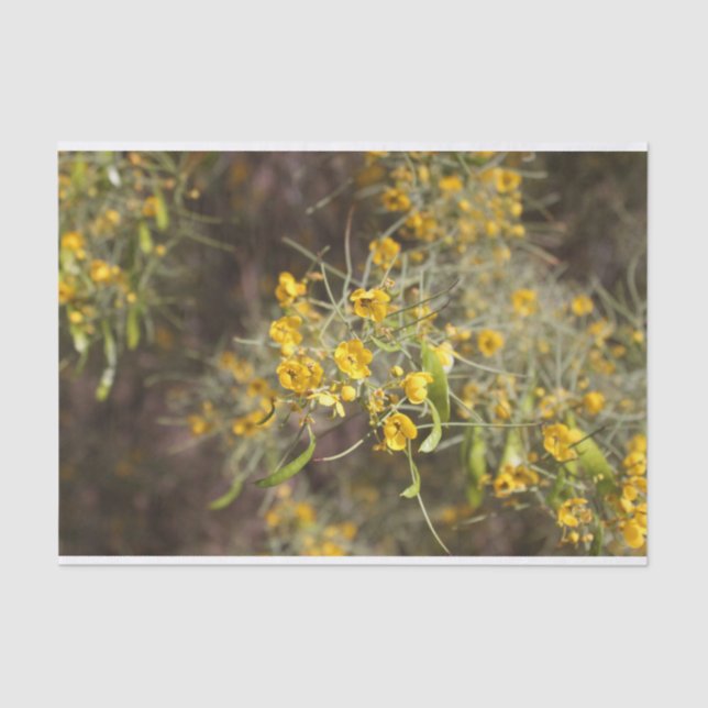 Seda Papel de Tecido das Flores Amarelas (Frente )