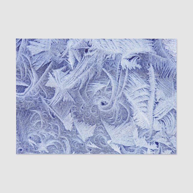 Seda Papel de tecido de 10 lb, personalizado e congelad (Frente )