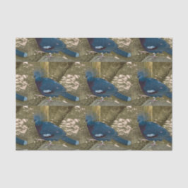 Seda Papel de tecido de aves azuis