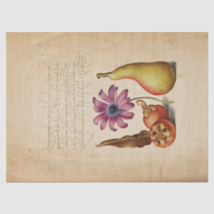 Seda Papel de Tecido de Caligrafia Manuscrito Iluminado