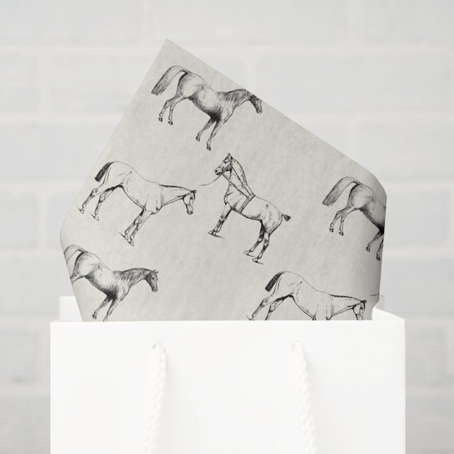 Seda Papel de Tecido de Cavalo para Sacos de Presente e (Sacola de presentes)
