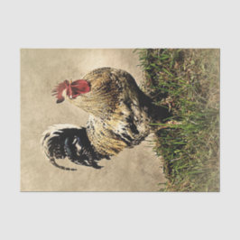 Seda Papel de Tecido de Decoupage de fazenda Rooster