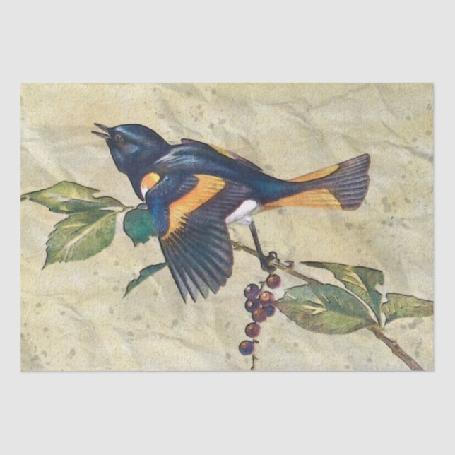 Seda Papel de Tecido de Decoupage de Pássaro Redstart A (Frente )