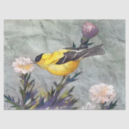 Seda Papel de Tecido de Decoupage de Pássaros Goldfinch