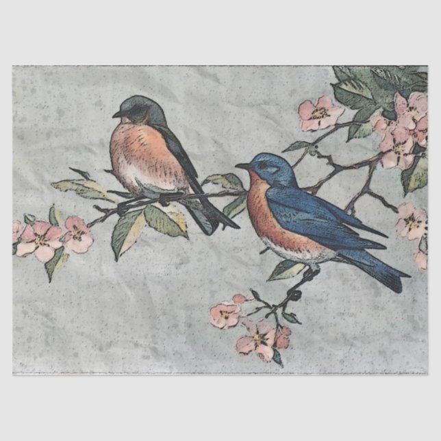 Seda Papel de Tecido de Decoupage do Bluebird Oriental (Frente )