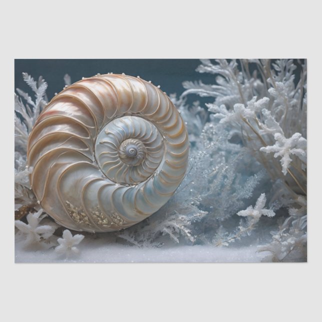 Seda Papel de Tecido de Decoupage do Nautilus Shell Den (Frente )