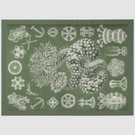 Seda Papel de Tecido de Decoupage do Vintage Sea