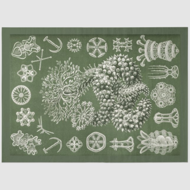 Seda Papel de Tecido de Decoupage do Vintage Sea (Frente )