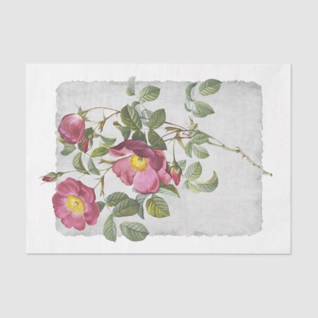 Seda Papel de Tecido de Decoupage Rosa 45 Flor (Frente )