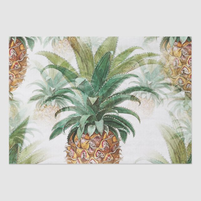 Seda Papel de Tecido de Descolagem de Abacaxi Tropical  (Frente )