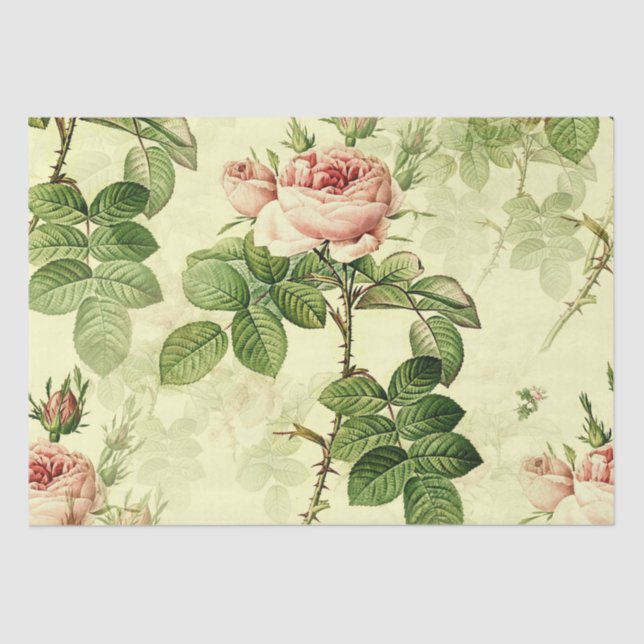Seda Papel de Tecido de Desenho de Rosa de Design de Vi (Frente )
