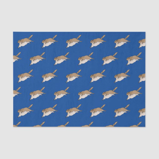 Seda Papel de Tecido de Esquilo Voador (Frente )