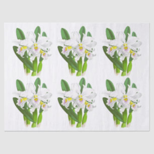 Seda Papel de Tecido de Flor Orquídea Branca Vintage