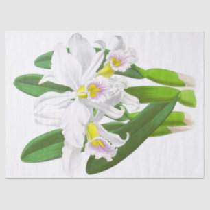 Seda Papel de Tecido de Flor Orquídea Branca Vintage