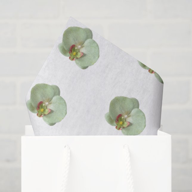 Seda Papel de Tecido de Orquídea (Sacola de presentes)