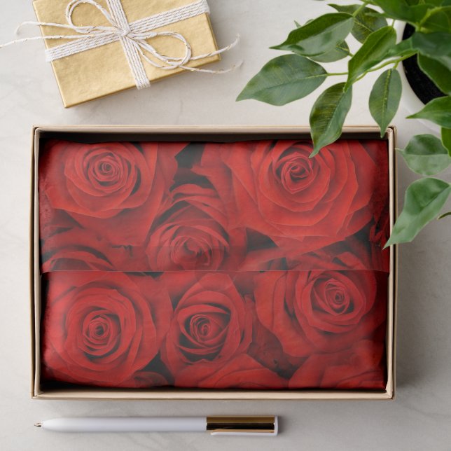 Seda Papel de Tecido do Rosa vermelha (Presente)