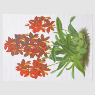 Seda Papel de Tecido Flor Laranja Vermelho Orquídeo
