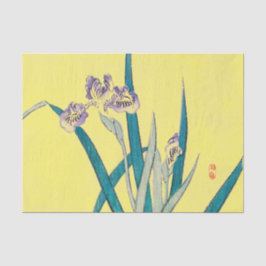 Seda Papel de Tecido IRIS