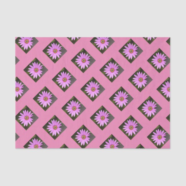 Seda Papel de Tecido Osteospermétrico Rosa (Frente )