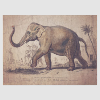 Seda Papel de Tecido ou Decoupage de Elefante