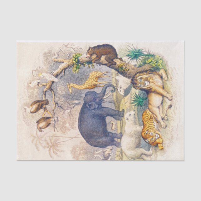 Seda Papel de Tecido ou Desanexação de Animais Vintage (Frente )