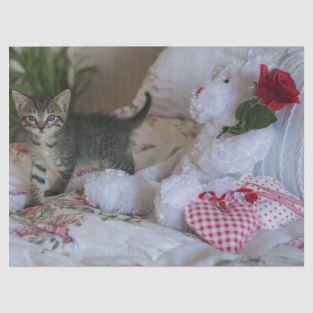 Seda Papel de tecido para gatos namorados (Frente )