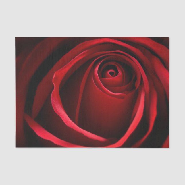 Seda Papel de Tecido Personalizado de 10 lb para rosa v (Frente )