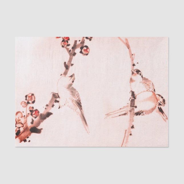 Seda PAPEL DE Tecido SPARROY CHERRY BLOSSOM (Frente )