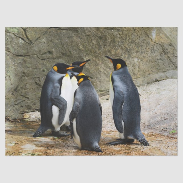 Seda papel de tecidos da reunião de pinguins (Frente )