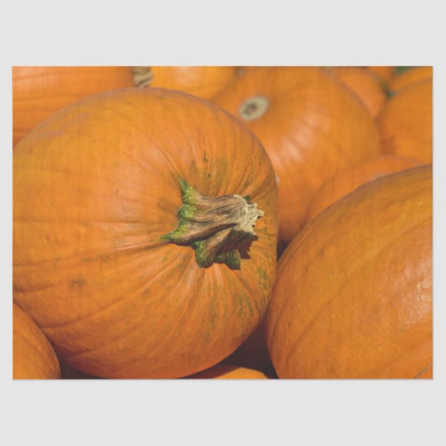 Seda papel de tecidos de abóbora (Frente )