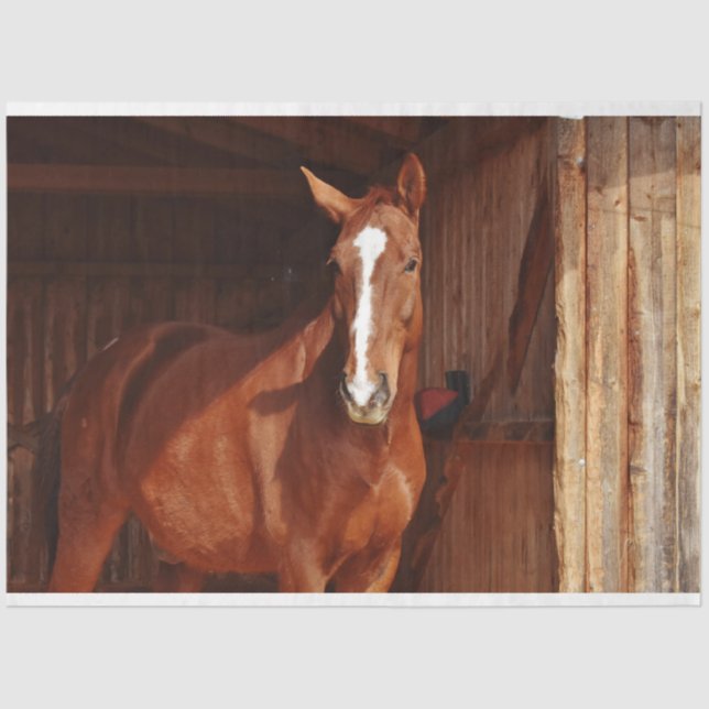 Seda papel de tecidos de cavalos (Frente )