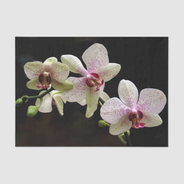 Seda papel de tecidos de flores tropicais (Frente )