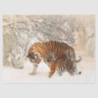 papel de tecidos de tigre e de bebês