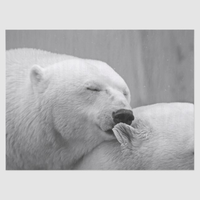 Seda papel de tecidos de ursos polares (Frente )