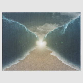 Seda papel de tecidos do mar vermelho