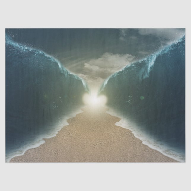 Seda papel de tecidos do mar vermelho (Frente )