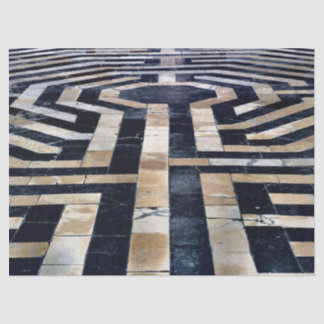 Seda papel de tecidos do piso labirinto