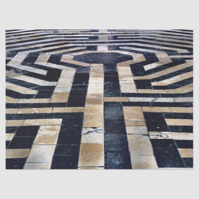 Seda papel de tecidos do piso labirinto (Frente )