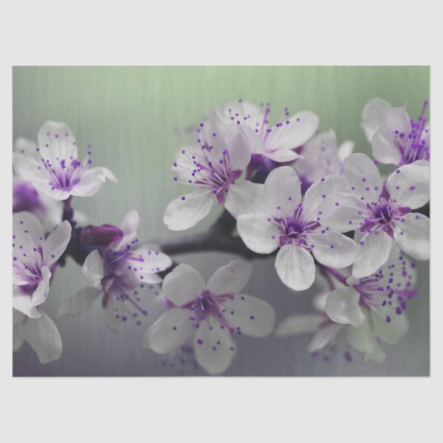 Seda papel de tecidos florescente (Frente )