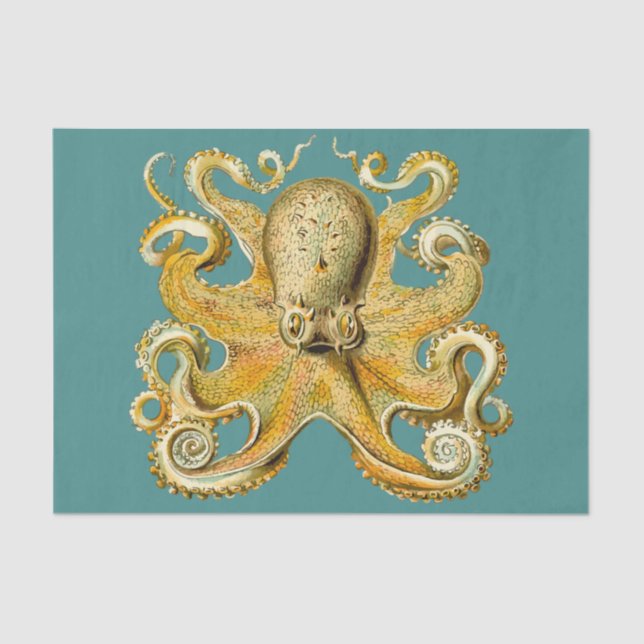 Seda papel de tecidos octopus (Frente )