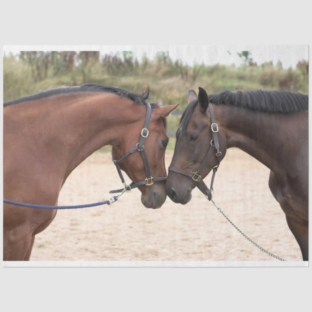 Seda papel de tecidos por amor de cavalo (Frente )